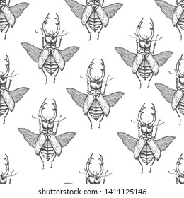 Beetle .Vector background with hand drawn insects illustrations.  Entomological seamless pattern. 