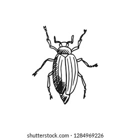beetle vector doodle sketch isolated on white background