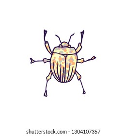 beetle vector doodle sketch isolated on white background