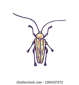 beetle vector doodle sketch isolated on white background