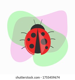 beetle vector flat design, good for template design, icon, symbol, sticker, and any purpose