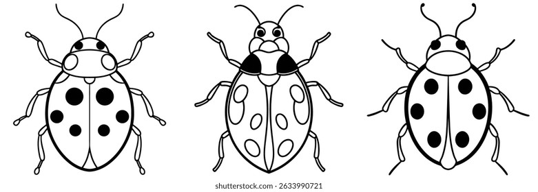 A beetle, a vector illustration of an insect bug, lady bugs, bundle of lady bugs
