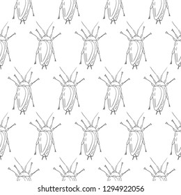 beetle vector seamless pattern isolated on white background