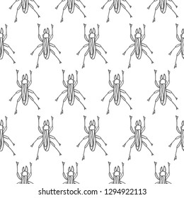 beetle vector seamless pattern isolated on white background