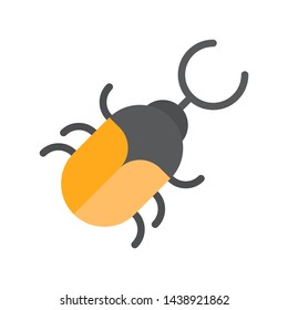 Beetle vector, tropical related flat design icon