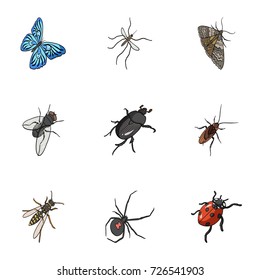 Beetle, wasp, bee, ant, fly, spider, mosquito and other insect species. Various insects set collection icons in cartoon style vector symbol stock isometric illustration web.
