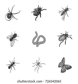 Beetle, wasp, bee, ant, fly, spider, mosquito and other insect species. Various insects set collection icons in monochrome style vector symbol stock isometric illustration web.