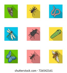 Beetle, wasp, bee, ant, fly, spider, mosquito and other insect species. Various insects set collection icons in flat style vector symbol stock isometric illustration web.