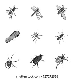 Beetle, wasp, bee, ant, fly, spider, mosquito and other insect species. Various insects set collection icons in monochrome style vector symbol stock isometric illustration web.