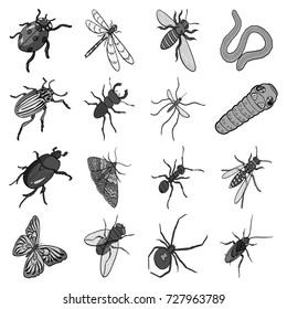 Beetle, wasp, bee, ant, fly, spider, mosquito and other insect species. Various insects set collection icons in monochrome style vector symbol stock isometric illustration web.