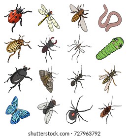 Beetle, wasp, bee, ant, fly, spider, mosquito and other insect species. Various insects set collection icons in cartoon style vector symbol stock isometric illustration web.