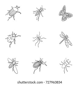 Beetle, wasp, bee, ant, fly, spider, mosquito and other insect species. Various insects set collection icons in outline style vector symbol stock isometric illustration web.