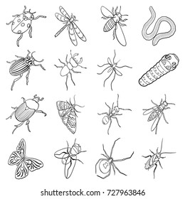 Beetle, wasp, bee, ant, fly, spider, mosquito and other insect species. Various insects set collection icons in outline style vector symbol stock isometric illustration web.