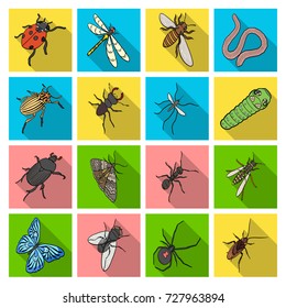 Beetle, wasp, bee, ant, fly, spider, mosquito and other insect species. Various insects set collection icons in flat style vector symbol stock isometric illustration web.