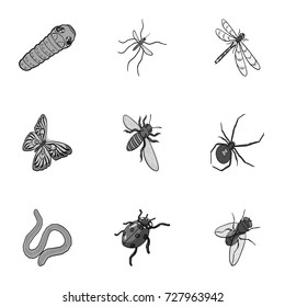 Beetle, wasp, bee, ant, fly, spider, mosquito and other insect species. Various insects set collection icons in monochrome style vector symbol stock isometric illustration web.