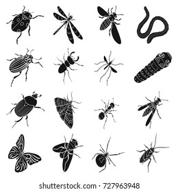Beetle, wasp, bee, ant, fly, spider, mosquito and other insect species. Various insects set collection icons in black style vector symbol stock isometric illustration web.