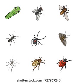 Beetle, wasp, bee, ant, fly, spider, mosquito and other insect species. Various insects set collection icons in cartoon style vector symbol stock isometric illustration web.