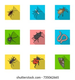 Beetle, wasp, bee, ant, fly, spider, mosquito and other insect species. Various insects set collection icons in flat style vector symbol stock isometric illustration web.