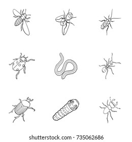 Beetle, wasp, bee, ant, fly, spider, mosquito and other insect species. Various insects set collection icons in outline style vector symbol stock isometric illustration web.