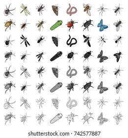 Beetle, wasp, bee, ant, fly, spider, mosquito and other insect species. Various insects set collection icons in cartoon style vector symbol stock isometric illustration web.