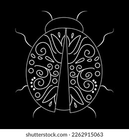 Beetle white linear illustration on black background. Botanical collection. Vector illustration