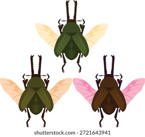 Ilustración del ala del escarabajo que representa la anatomía y simetría del insecto.