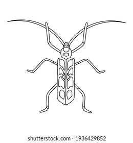 Beetle-insect coloring book. Alpine barbel beetle linear vector illustration . Anti-stress coloring book for adults and children. Hand-drawn doodle coloring page