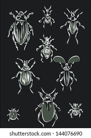 a beetles