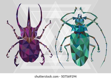 Beetles