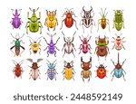 Beetles and bugs. Colorful insects of various shapes. Beetle set vector flat illustration
