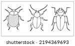 Beetles and bugs. Set of hand-drawn doodle illustration. Scary and realistic bugs. Halloween decoration. 
