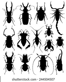 Beetles / bugs silhouettes on a wight background. vector illustration