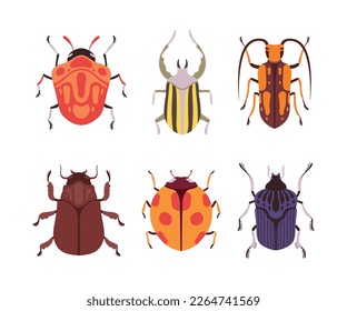 Beetles and Bugs as Winged Crawling and Creeping Insect Vector Set