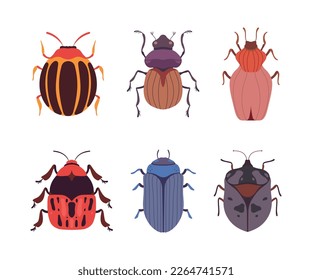 Beetles and Bugs as Winged Crawling and Creeping Insect Vector Set