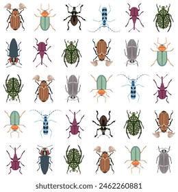 Beetles collection. Vector seamless pattern of various beetles isolated on white