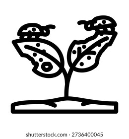 Beetles consuming plant leaves from a small seedling, illustrating the concept of agricultural pests, crop damage, infestation, and the vital need for pest control in farming
