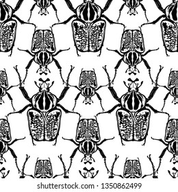 Beetles Goliath on a white background. Seamless pattern with insects. Black and white sketch. Realistic drawing bug. For fabrics, summer textiles, wallpaper, paper