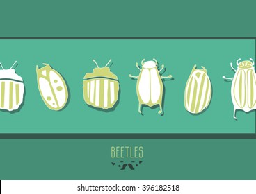 beetles green background, cool bugs, striped beetles, 
funny beetles, herbarium beetles, beetle collection