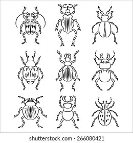 beetles insects -black contour drawing