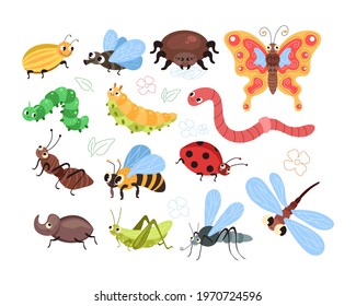 Beetles insects caterpillars worm ant spider butterfly mosquito bee isolated set. Vector flat modern style graphic design cartoon illustration