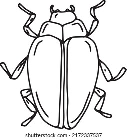 17,197 Sketch of the beetle Images, Stock Photos & Vectors | Shutterstock