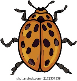 Beetles insects large set separately on a white background coloring book for children sketch doodle hand drawn 