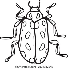Beetles insects large set separately on a white background coloring book for children sketch doodle hand drawn 