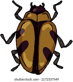 Beetles insects large set separately on a white background coloring book for children sketch doodle hand drawn 