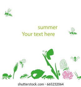 Beetles, insects, summer, background