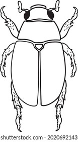 scarab clipart