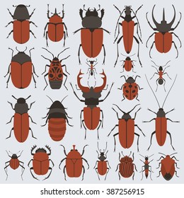 Beetles set