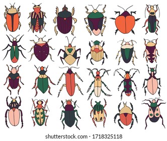 Beetles set, insects outline vector, icons. Exotic bugs collection.hand drawn doodle style, colorful. Isolated on white background.