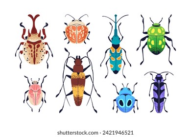 Los escarabajos juntos. Los bichos de verano con un patrón colorido sobre las alas. Especies de fauna, diferentes tipos de insectos brillantes con antena, patas, vista superior. Ilustraciones vectoriales planas aisladas en fondo blanco