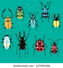 Beetles set vector 
